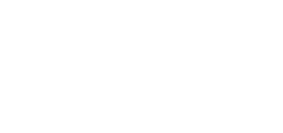 Logo CNR DSU